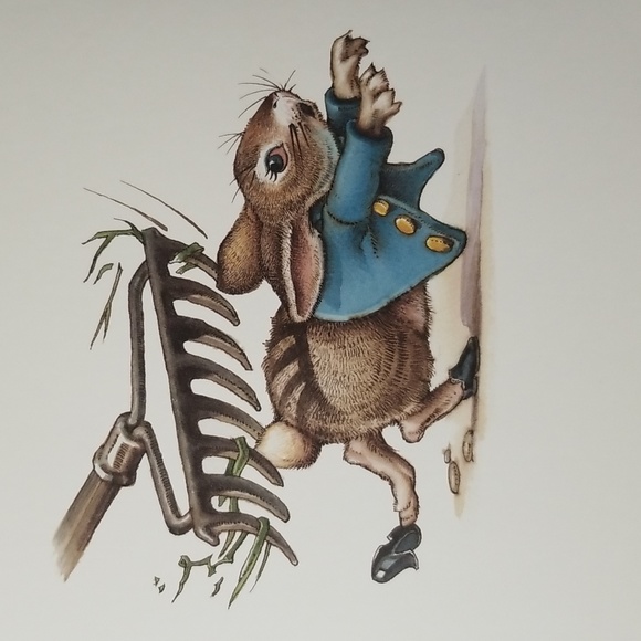 The Classic Tale of Peter The Rabbit by Beatrix Potter Illustrated by Charles Sa - Picture 7 of 8